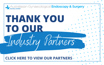 AGES Industry Partners